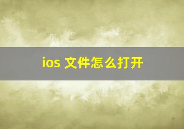 ios 文件怎么打开